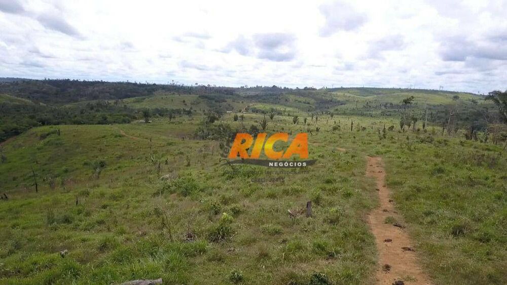 Fazenda, 218 hectares - Foto 3