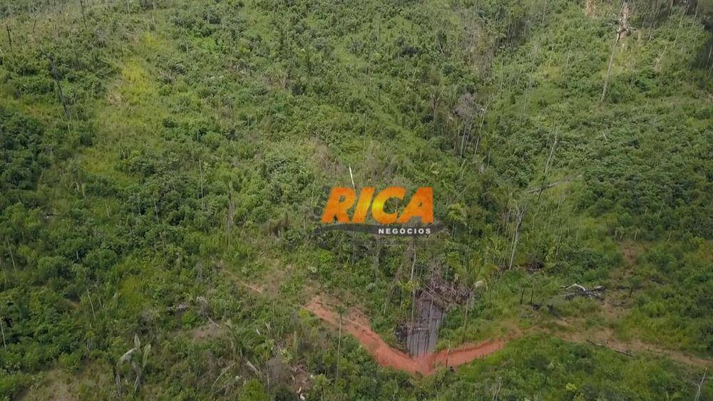 Fazenda, 218 hectares - Foto 2