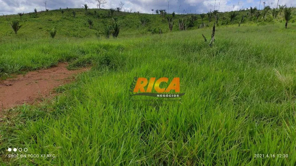 Fazenda, 218 hectares - Foto 7
