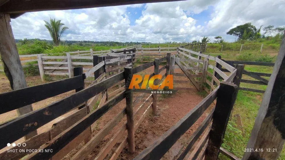 Fazenda, 218 hectares - Foto 1