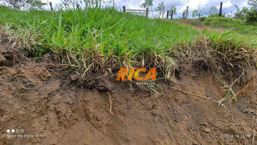 Fazenda, 218 hectares - Foto 4