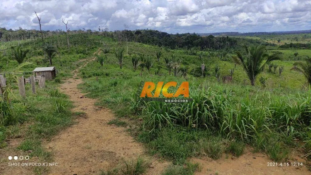 Fazenda, 218 hectares - Foto 8