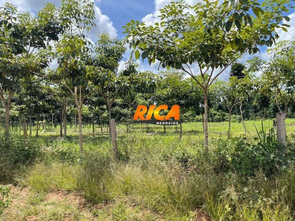 Fazenda, 111 hectares - Foto 3