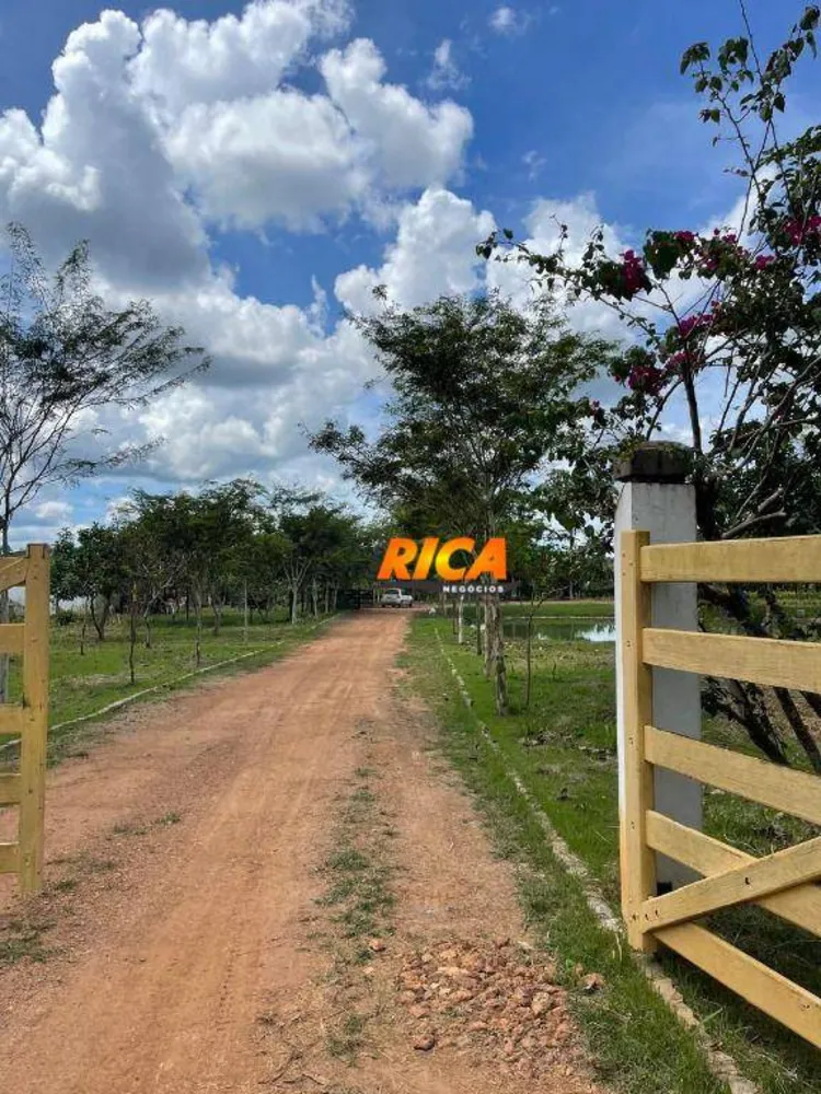Fazenda, 111 hectares - Foto 4