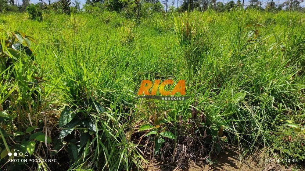 Fazenda, 278 hectares - Foto 4