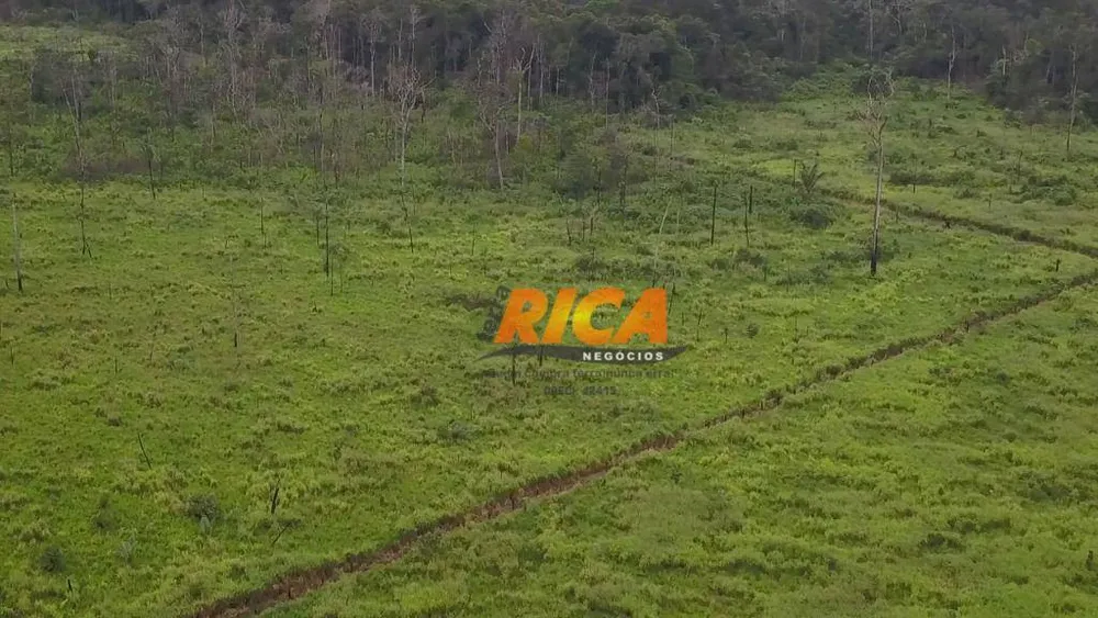 Fazenda, 278 hectares - Foto 8