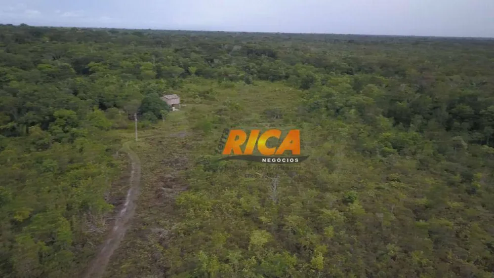 Fazenda, 120 hectares - Foto 7