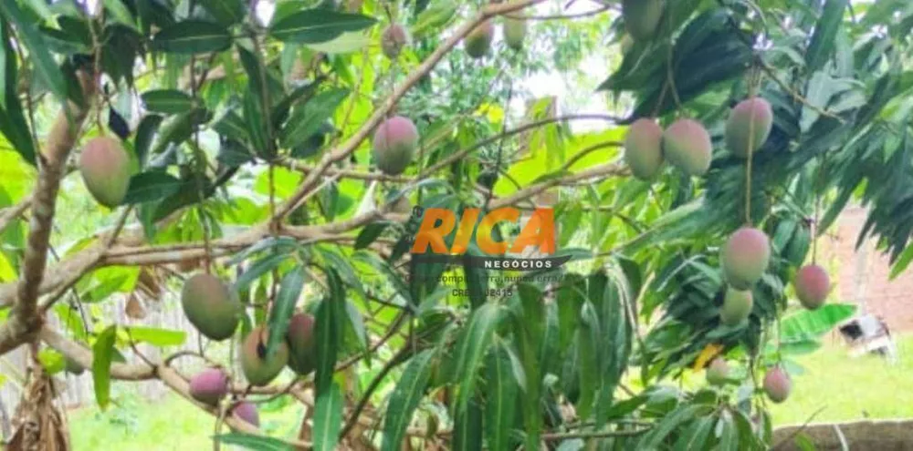 Chácara, 2 quartos, 7000 m² - Foto 6