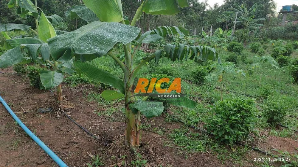 Chácara, 2 quartos, 7000 m² - Foto 4