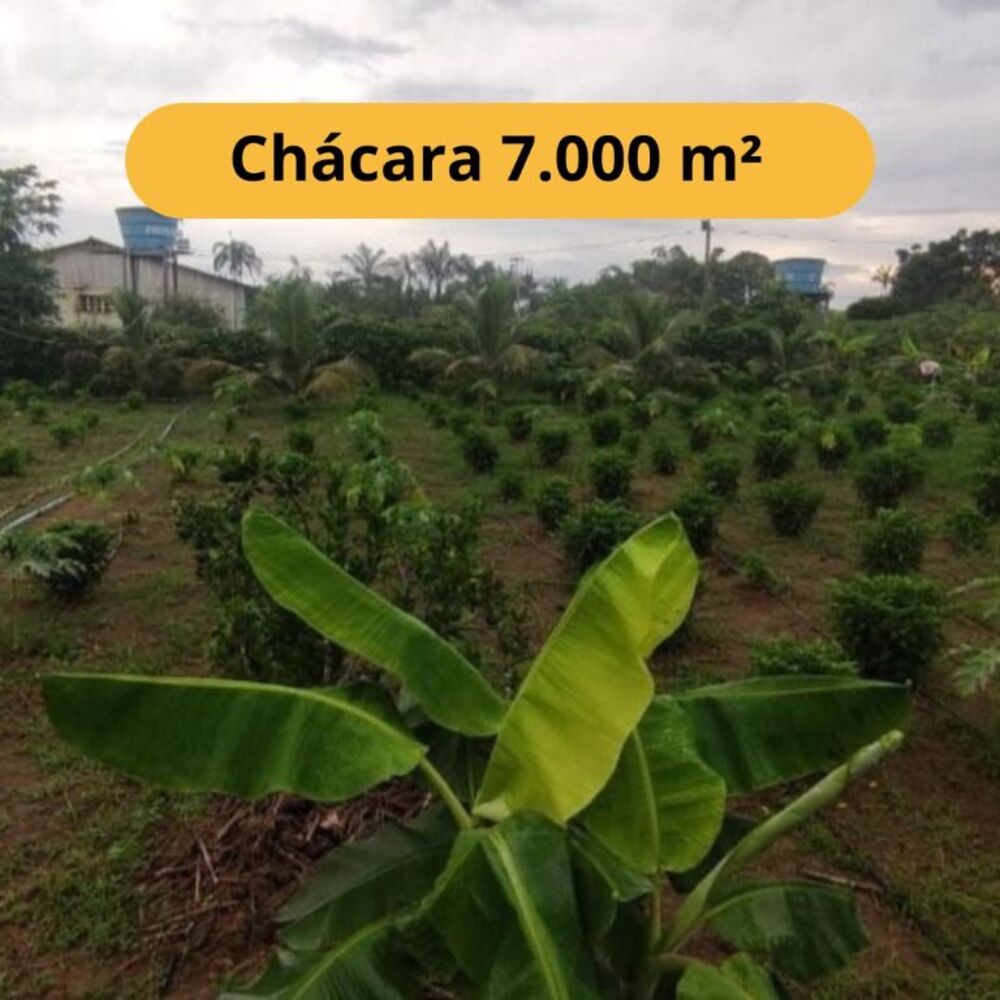 Chácara, 2 quartos, 7000 m² - Foto 1