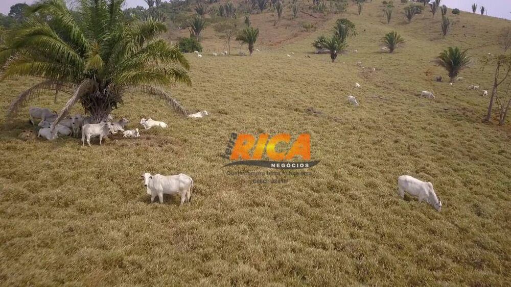Fazenda, 671 hectares - Foto 1