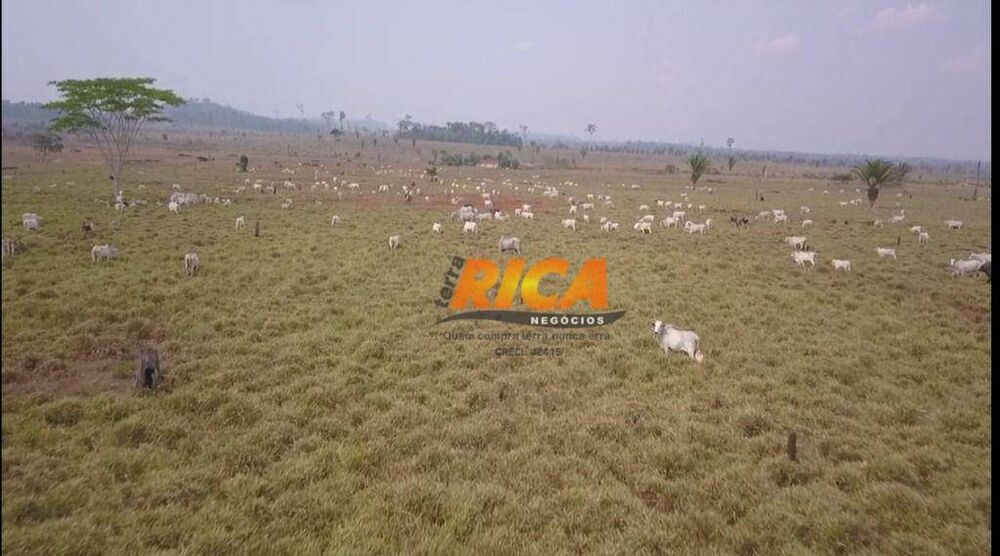 Fazenda, 671 hectares - Foto 3