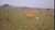 Fazenda, 671 hectares - Foto 3