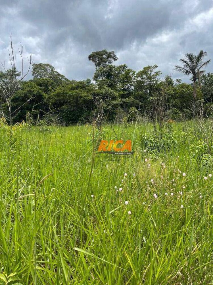 Chácara, 4472 m² - Foto 4