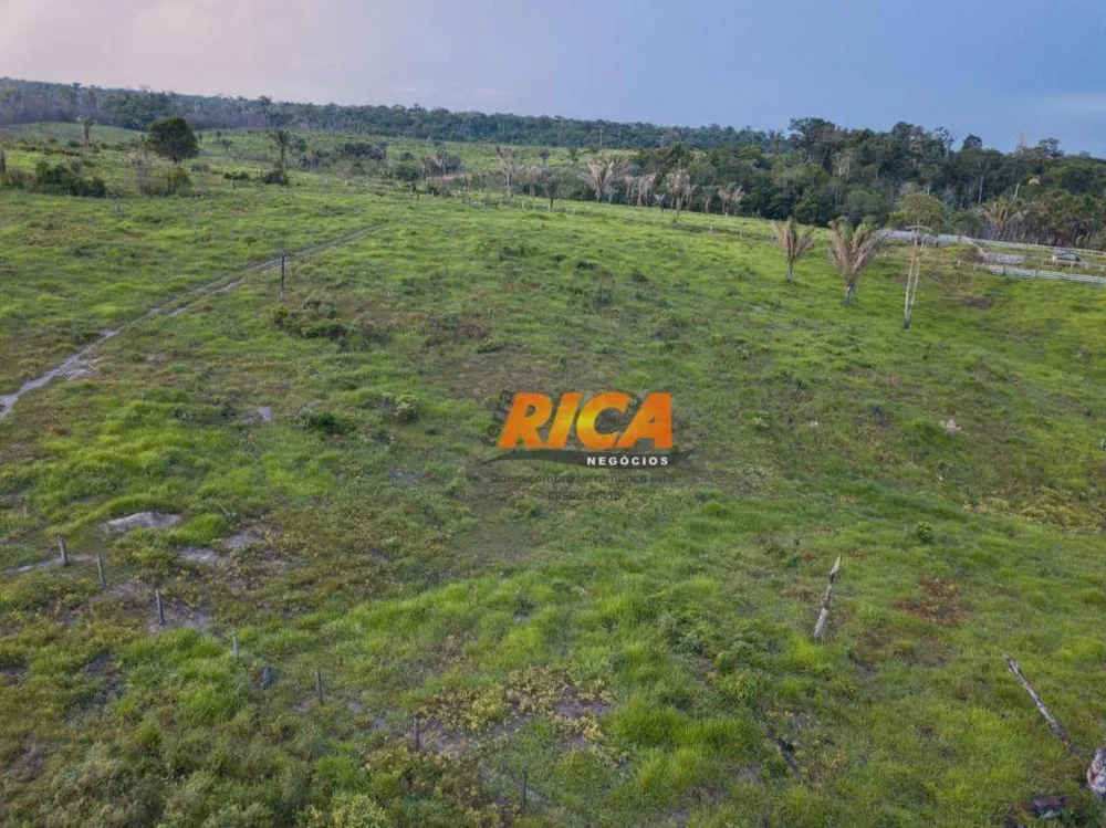 Fazenda, 480 hectares - Foto 3
