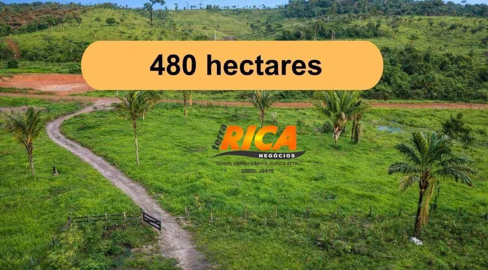 Fazenda, 480 hectares - Foto 1