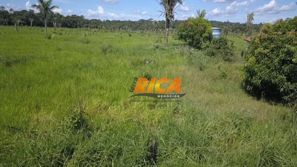Chácara, 10 hectares - Foto 3