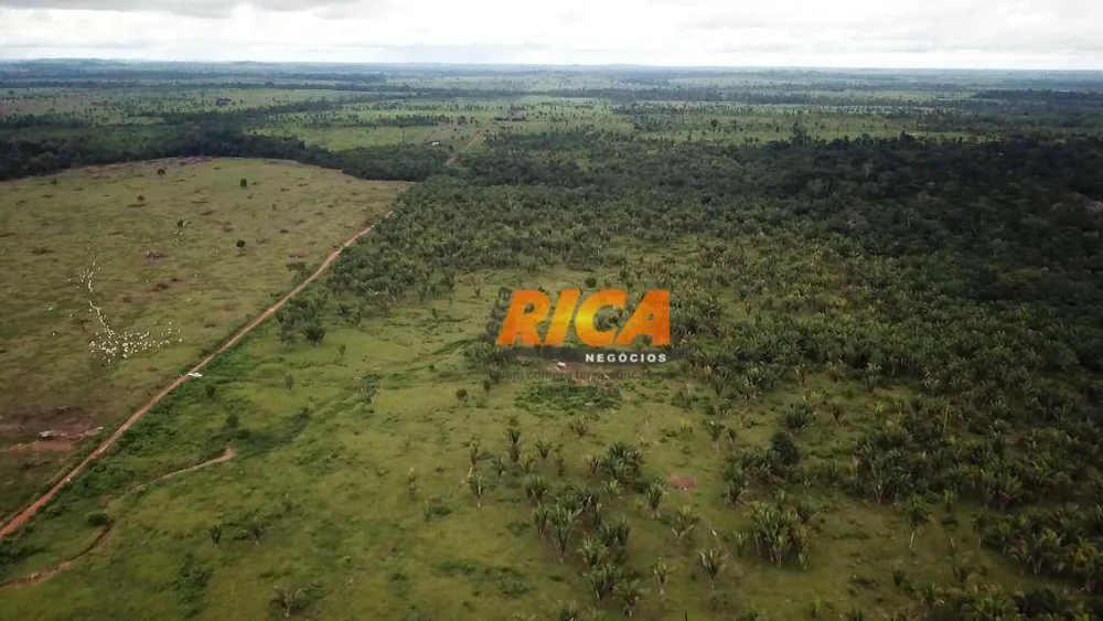 Fazenda, 1000 hectares - Foto 7