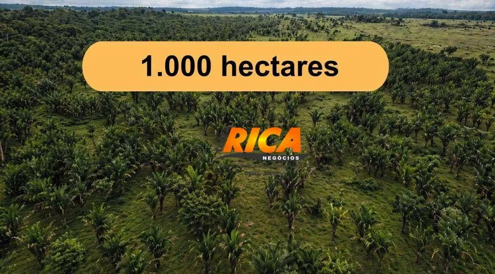 Fazenda, 1000 hectares - Foto 2