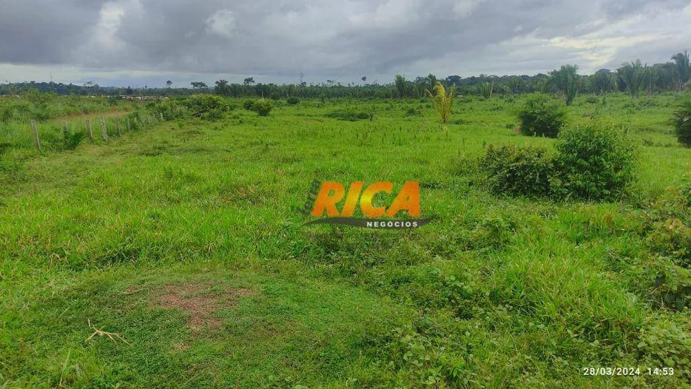 Fazenda, 1000 hectares - Foto 10