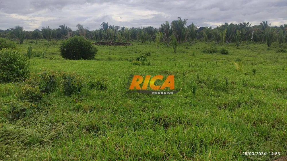 Fazenda, 1000 hectares - Foto 11