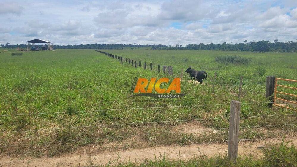 Fazenda, 1560 hectares - Foto 2