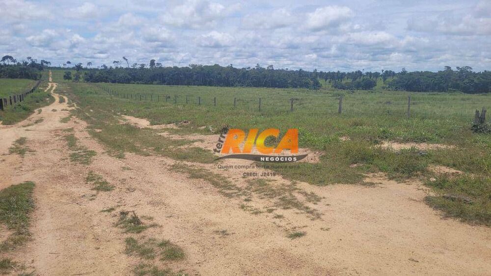 Fazenda, 1560 hectares - Foto 3