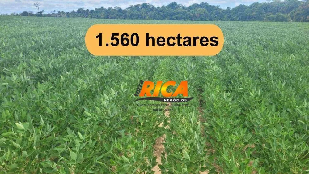 Fazenda, 1560 hectares - Foto 4