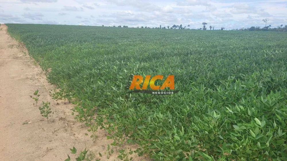 Fazenda, 1560 hectares - Foto 2