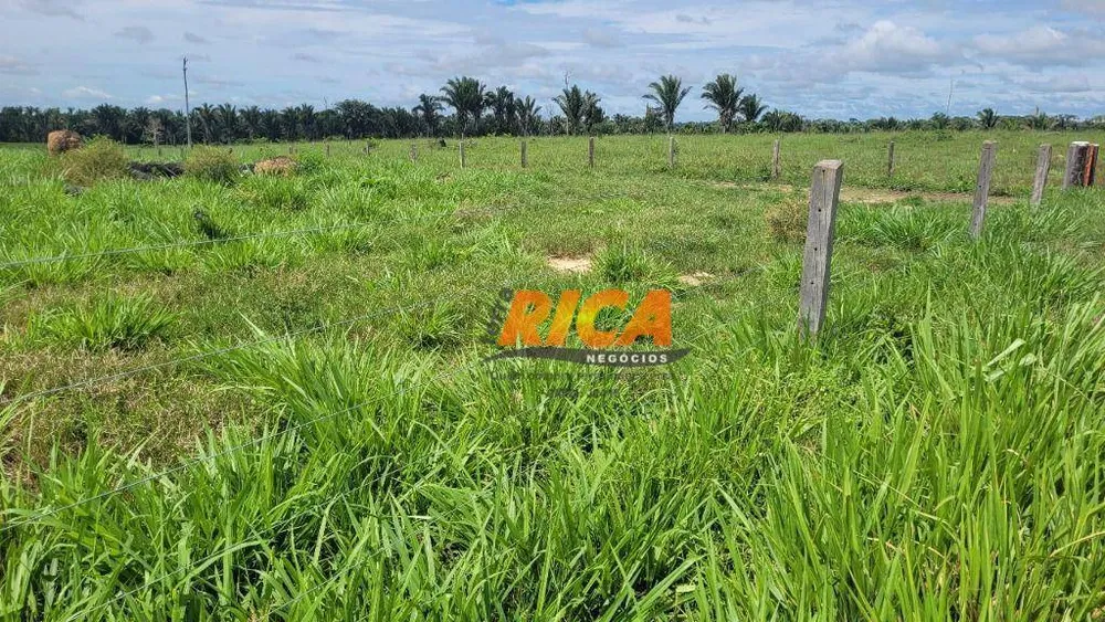 Fazenda, 1560 hectares - Foto 1