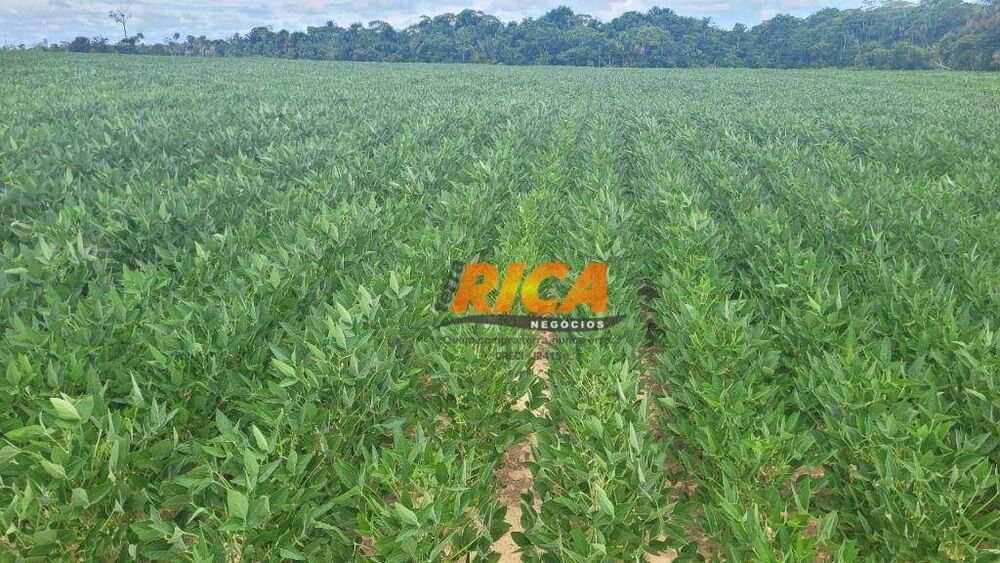 Fazenda, 1560 hectares - Foto 1