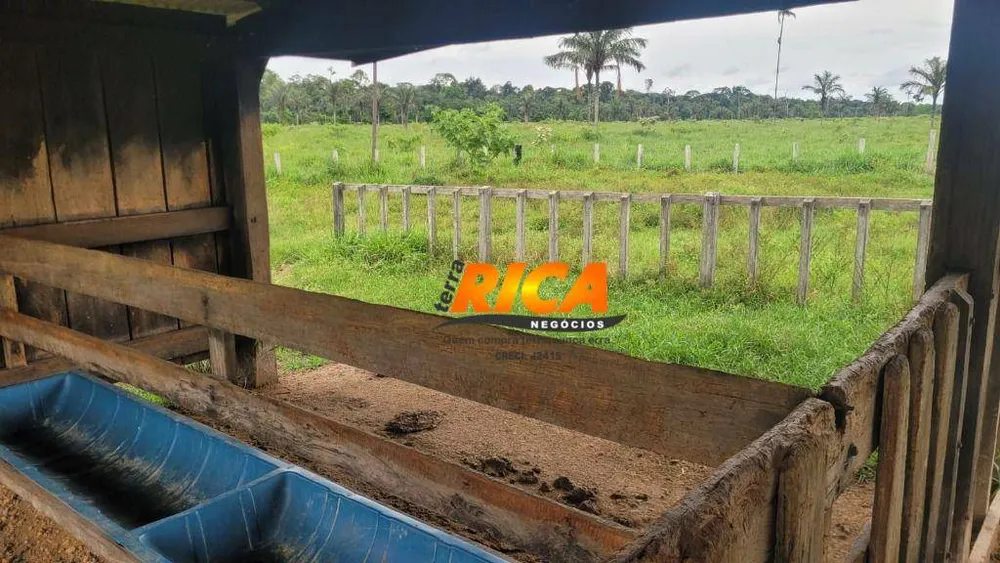 Fazenda, 408 hectares - Foto 10