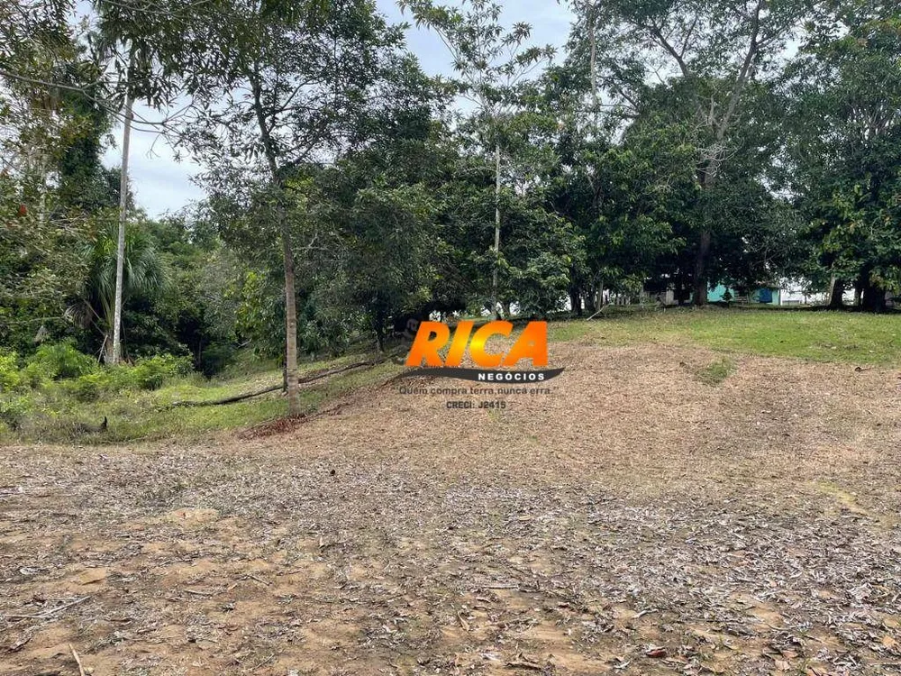 Fazenda, 408 hectares - Foto 6