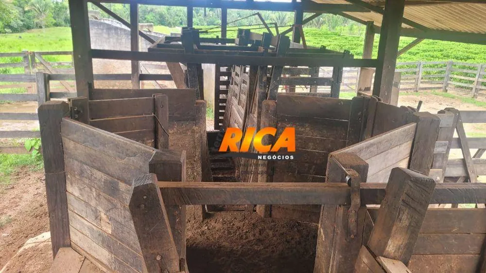 Fazenda, 408 hectares - Foto 12