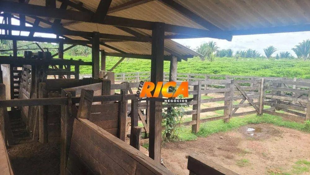 Fazenda, 408 hectares - Foto 11
