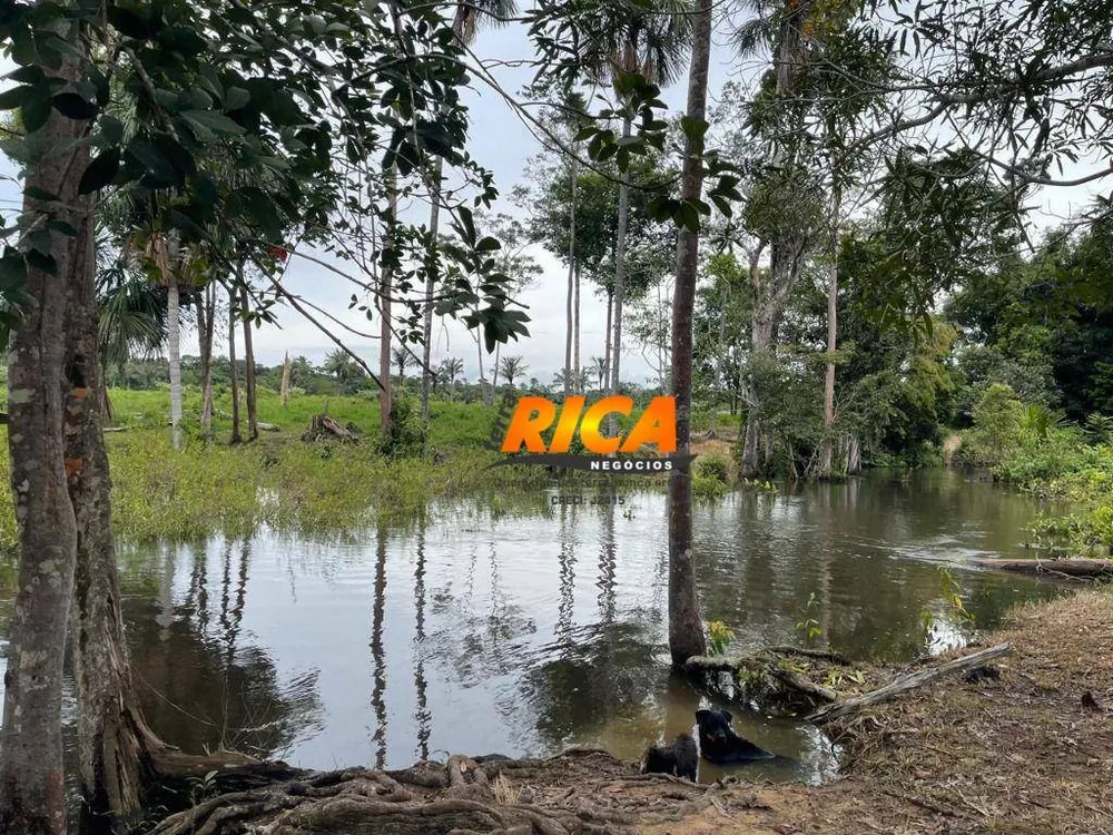 Fazenda, 408 hectares - Foto 4