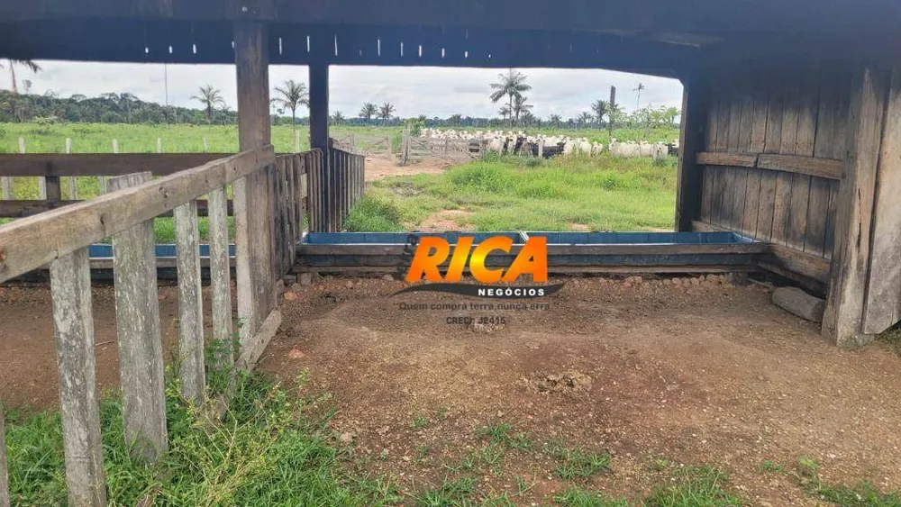 Fazenda, 408 hectares - Foto 13
