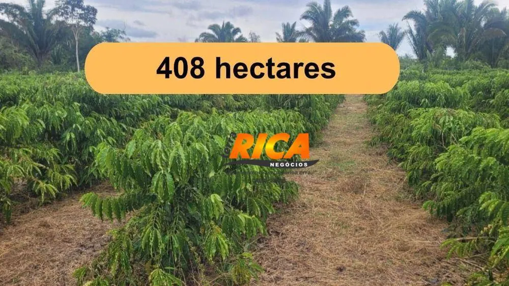 Fazenda, 408 hectares - Foto 1