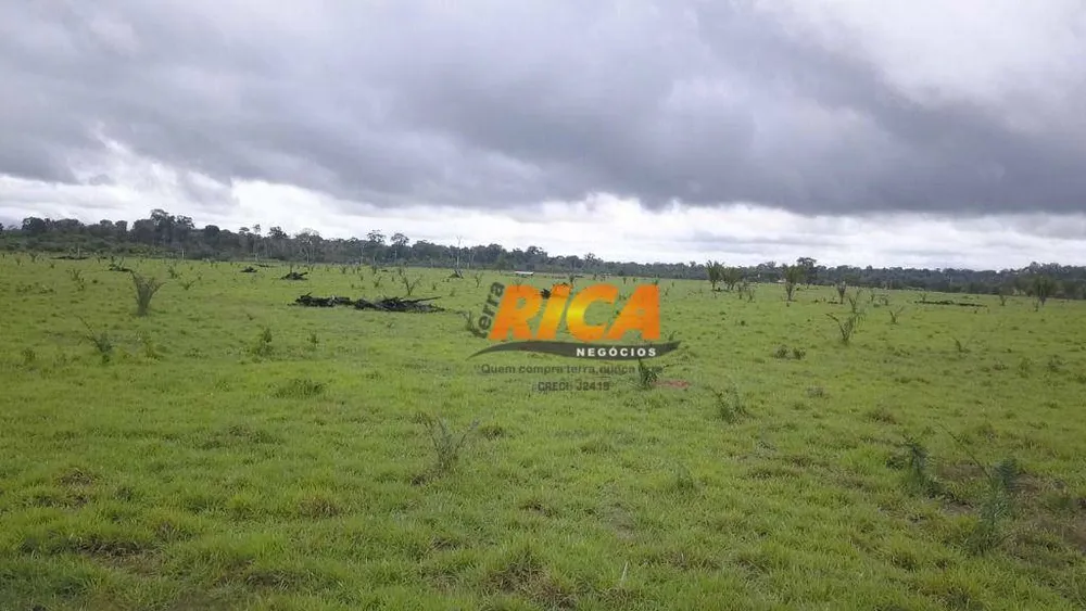 Fazenda, 528 hectares - Foto 4