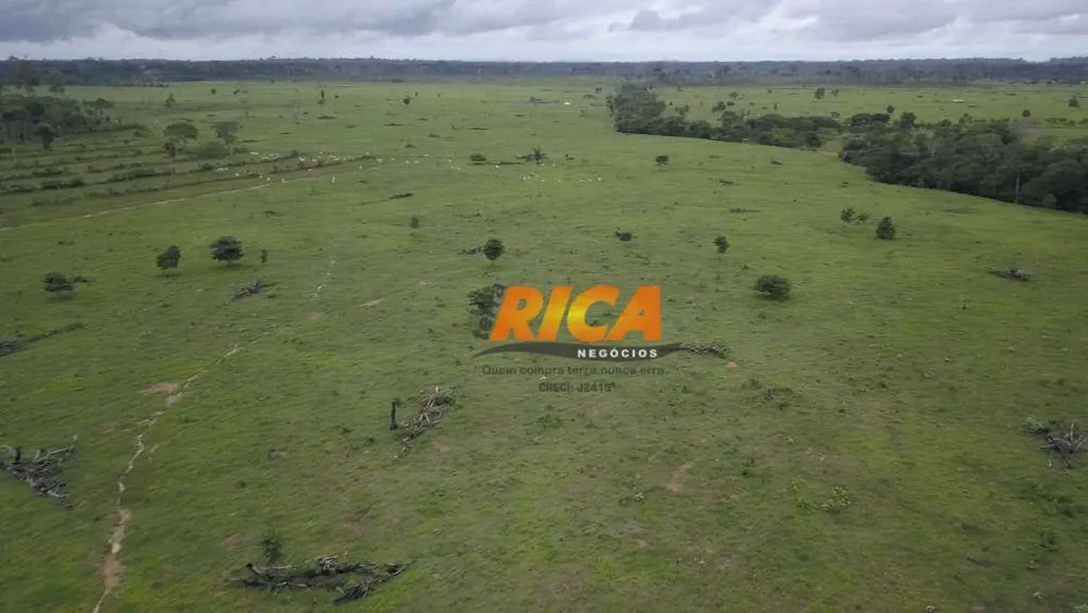 Fazenda, 528 hectares - Foto 12