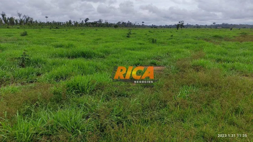 Fazenda, 528 hectares - Foto 3
