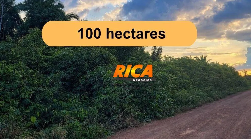 Fazenda, 100 hectares - Foto 1