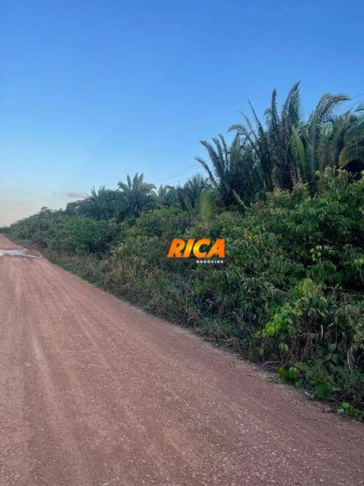 Fazenda, 100 hectares - Foto 4