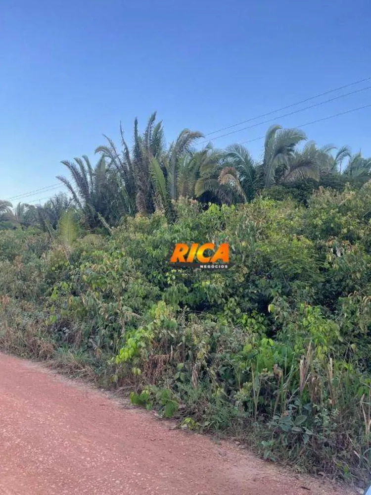 Fazenda, 100 hectares - Foto 3