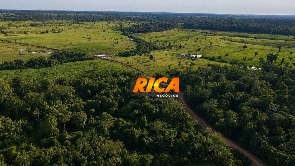 Fazenda, 680 hectares - Foto 7