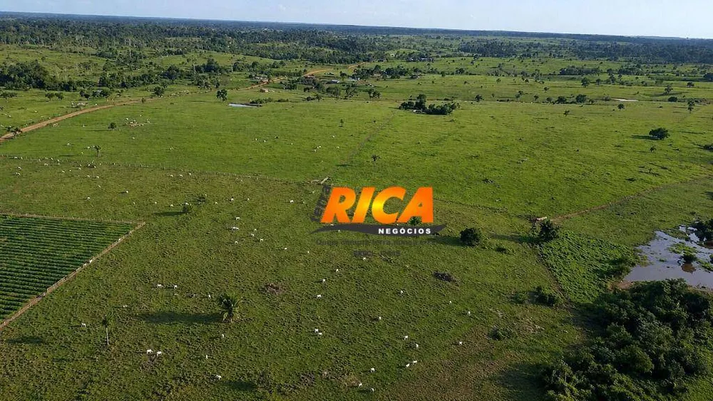 Fazenda, 680 hectares - Foto 4