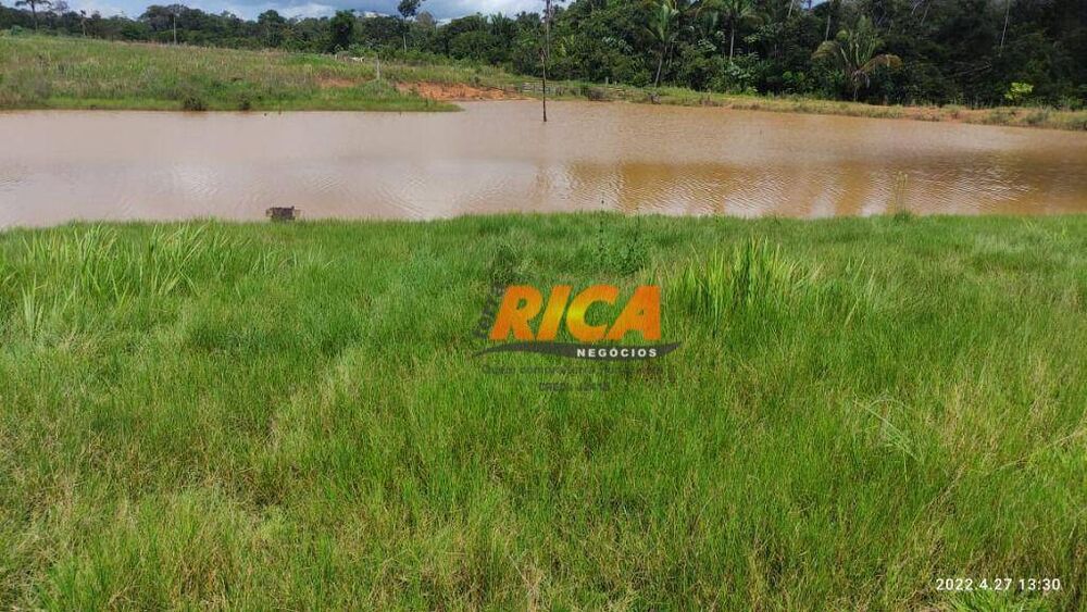Fazenda, 2271 hectares - Foto 23