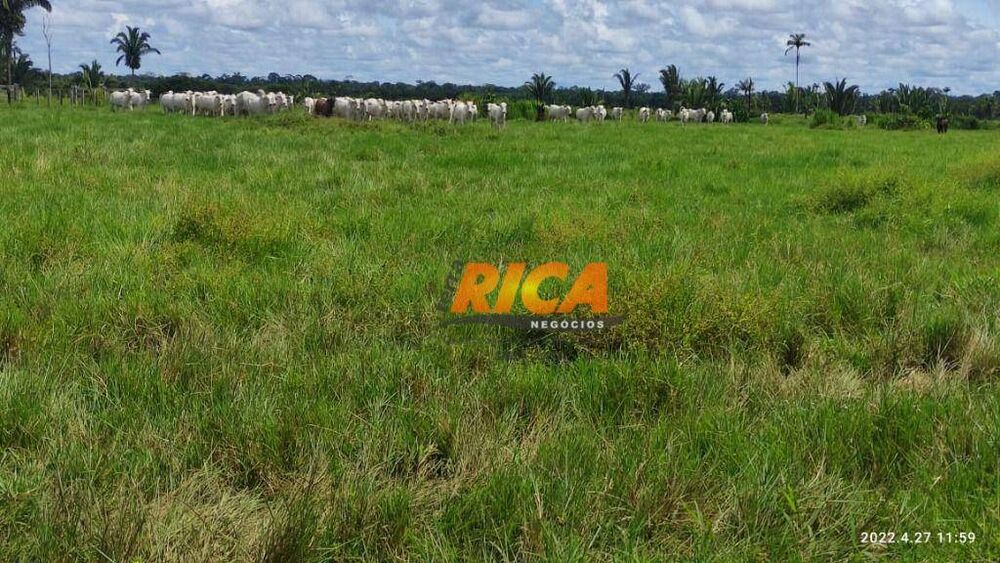 Fazenda, 2271 hectares - Foto 38