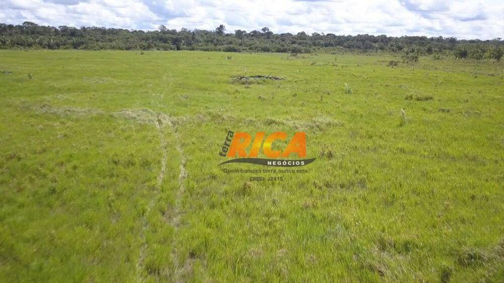 Fazenda, 2271 hectares - Foto 3