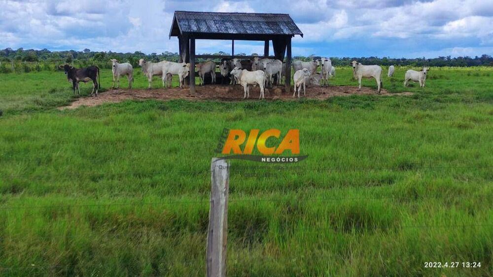 Fazenda, 2271 hectares - Foto 8